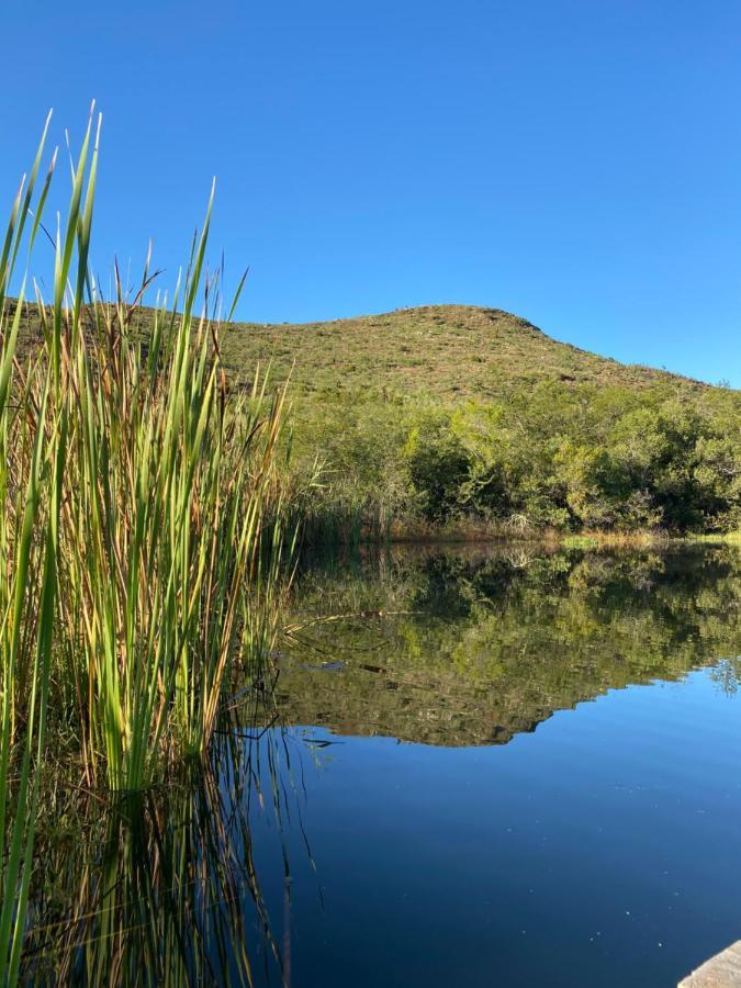 The Retreat At Groenfontein Calitzdorp Zewnętrze zdjęcie